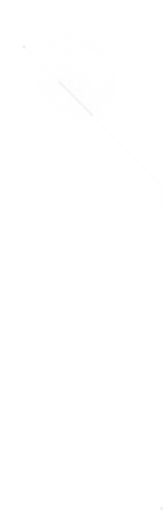 Side line